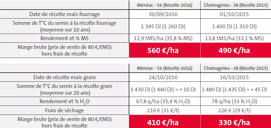 résultats rendement maïs dérobé Visuel résultats rendement maïs dérobé