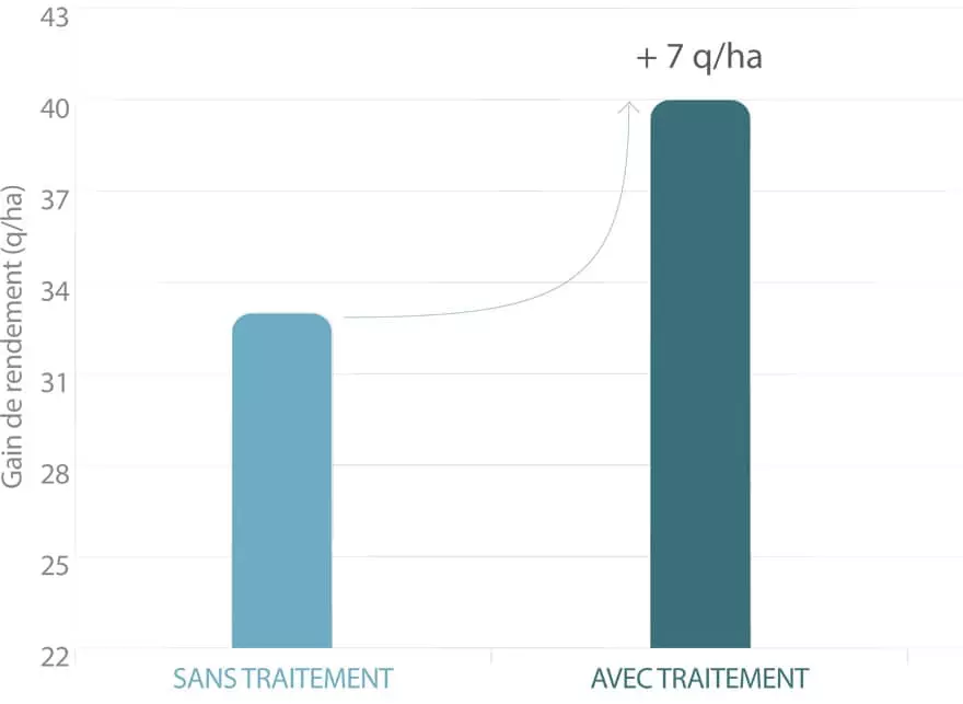 Visuel Fertilisation tournesol