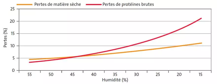 Fourrage Visuel Fourrage