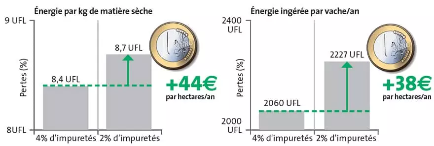 Visuel Fourrage