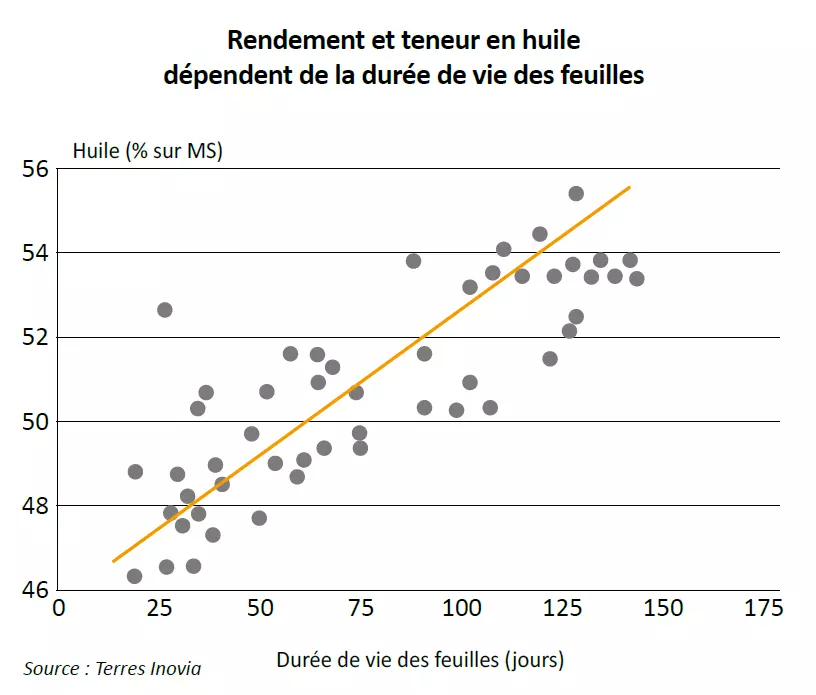 Visuel Graph_rendement_et_teneur_en_huile_tournesol
