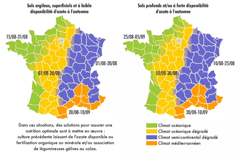 Visuel Cartes_semis_colza_Terres_Inovia