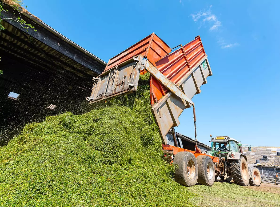 Visuel Fourragères chantier récolte ensilage