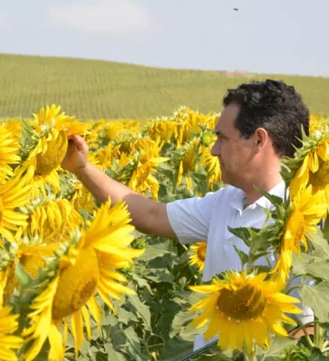 Visuel Relever les défis agricoles  de demain