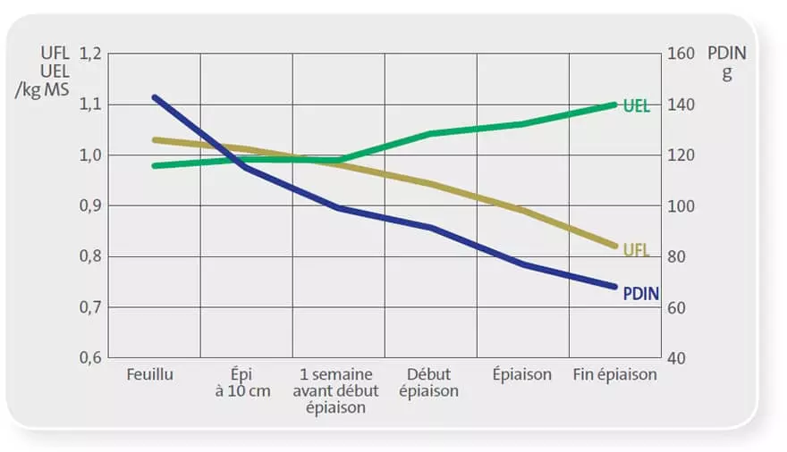 Visuel Fourrage