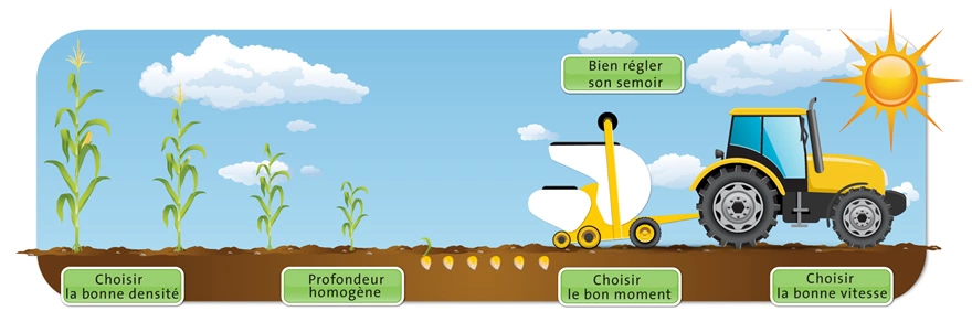 Visuel LG_etapes_semis_mais_tournesol