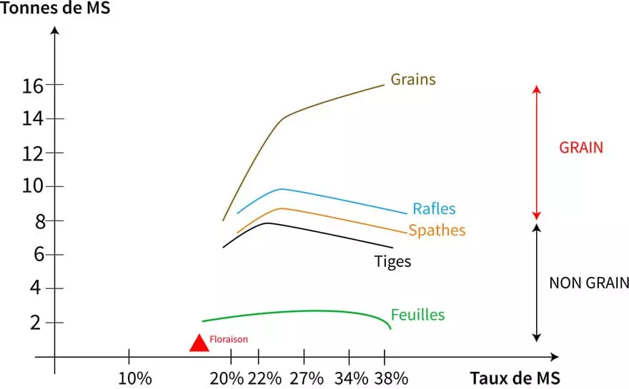 Visuel Récolte maïs fourrage