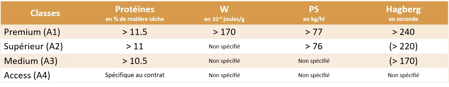 Visuel