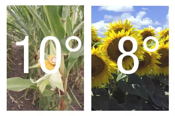 Visuel Temperature_ideale_semis_mais_tournesol