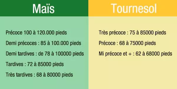 Visuel densite_semis_mais_tournesol