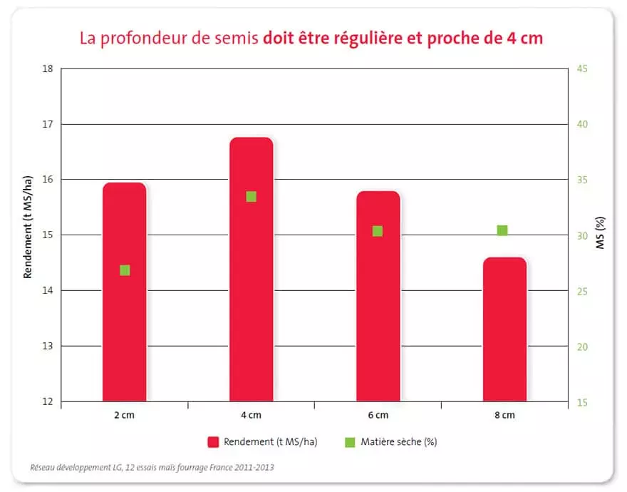 Profondeur du semis maïs 2 Visuel Profondeur du semis maïs 2