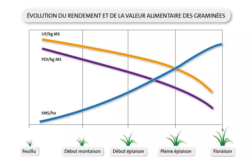 Visuel LG - Schéma évolution rendement et valeur alimentaire des graminées - Récolter ses prairies au bon stade