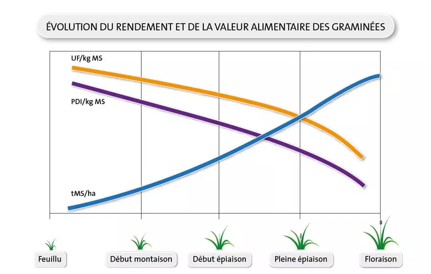 LG - Schéma évolution rendement et valeur alimentaire des graminées - Récolter ses prairies au bon stade Visuel LG - Schéma évolution rendement et valeur alimentaire des graminées - Récolter ses prairies au bon stade