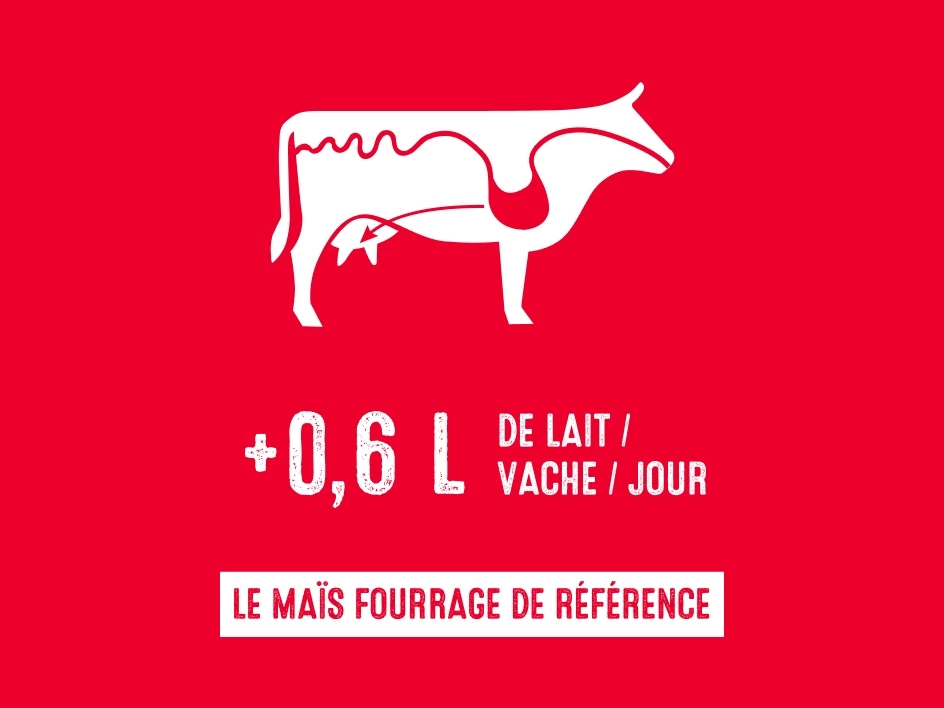 Visuel Le Maïs Fourage de référence