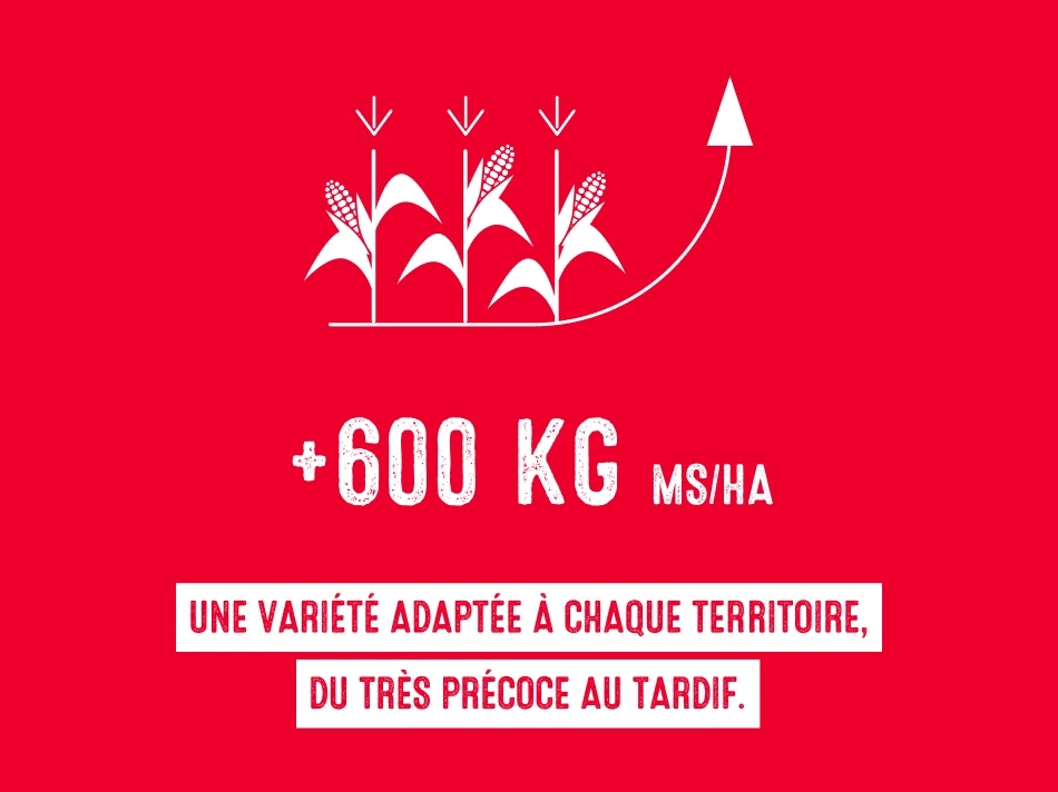 Une variété adaptée à chaque territoire Visuel Une variété adaptée à chaque territoire
