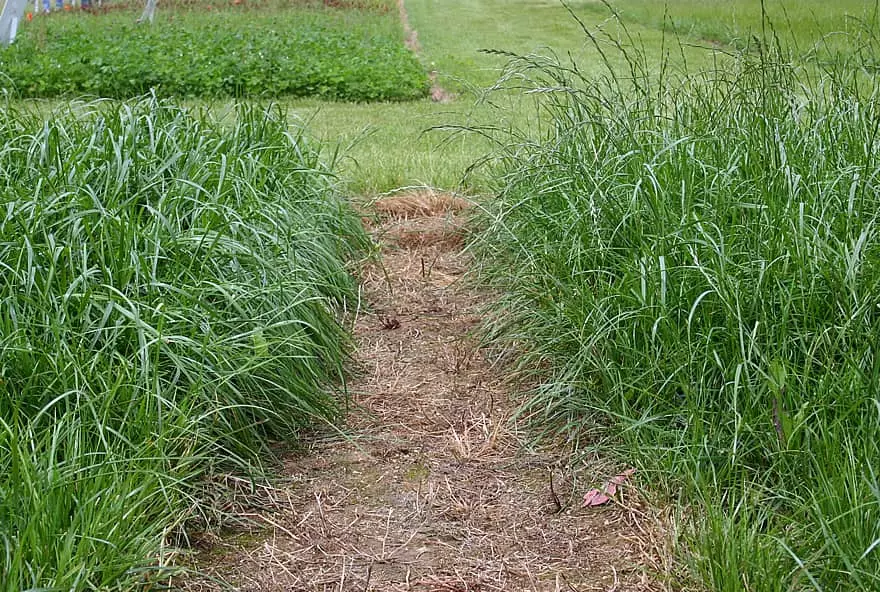 Prairie Visuel Prairie