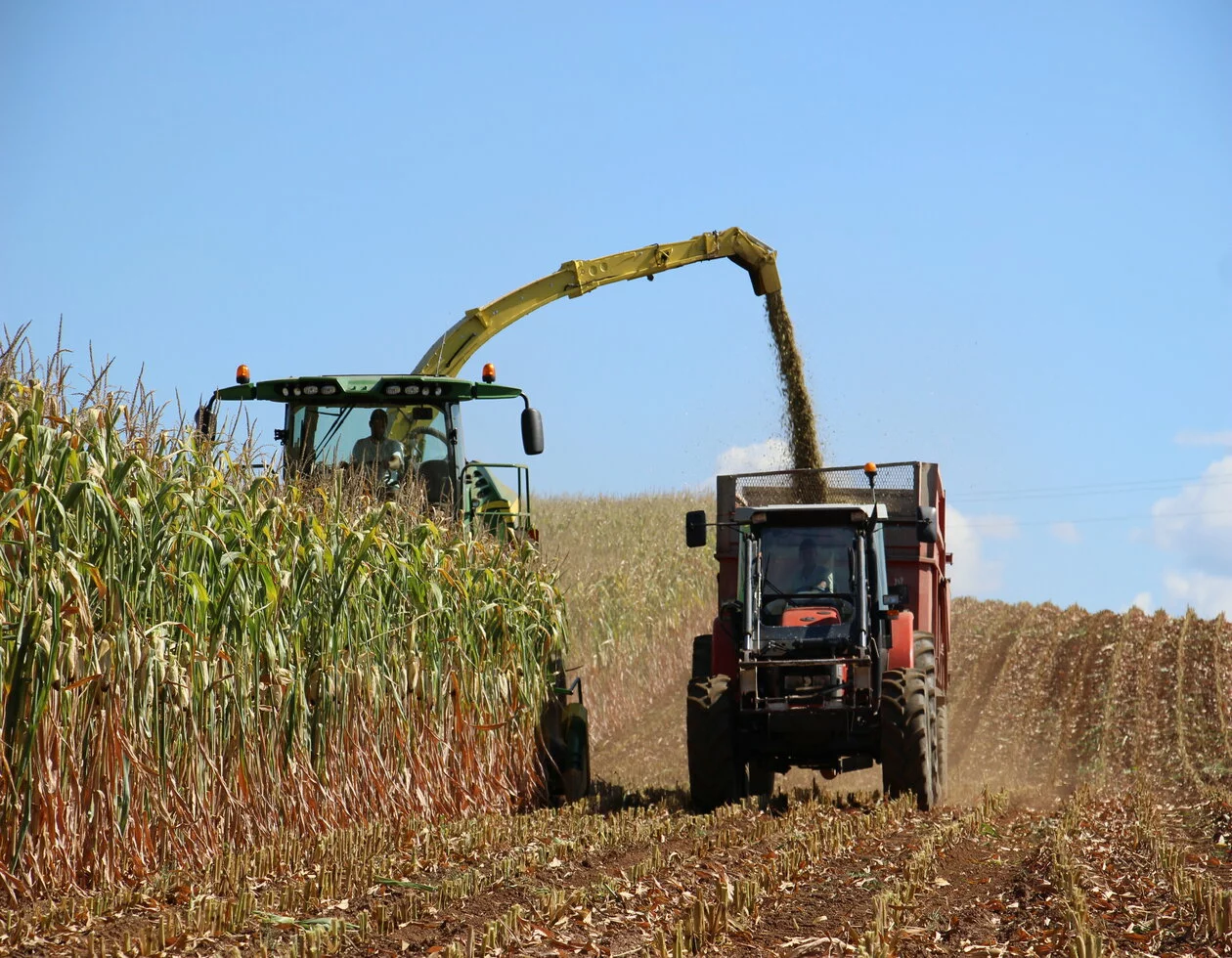 Visuel LG résultats essais maïs ensilage