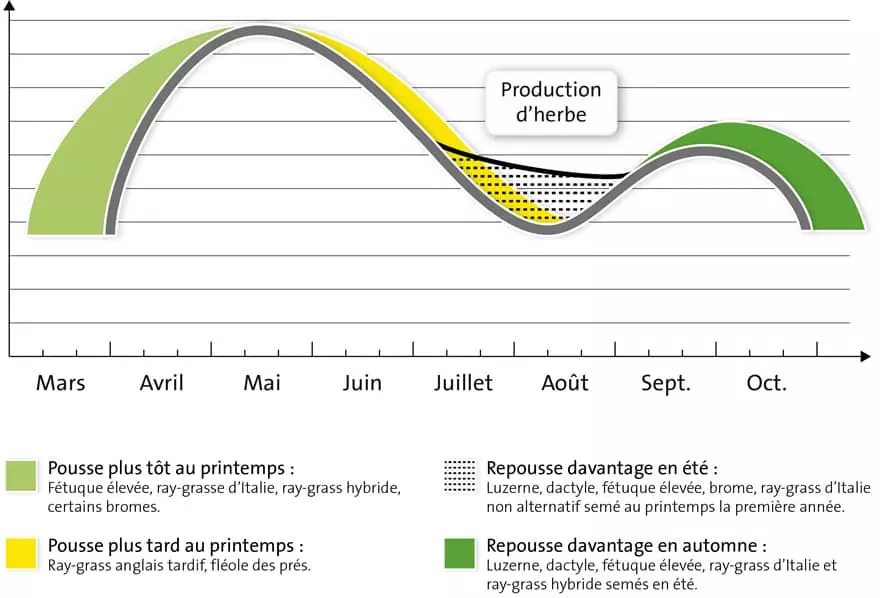 Visuel Diversification des prairies 