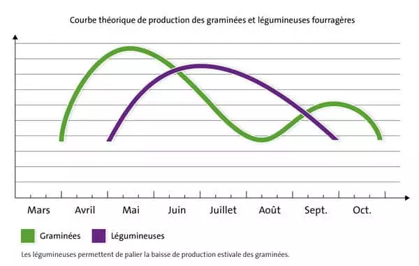 Visuel Production graminées et légumineuses