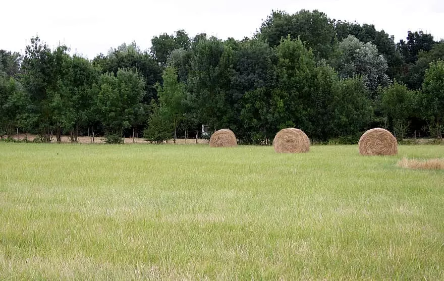 Prairie Visuel Prairie
