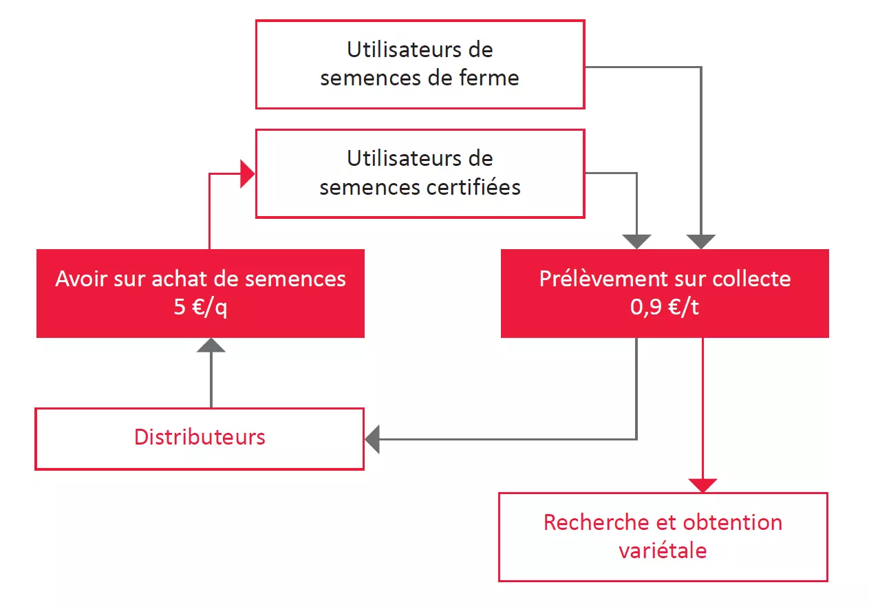 Visuel CRIV céréales prélèvement