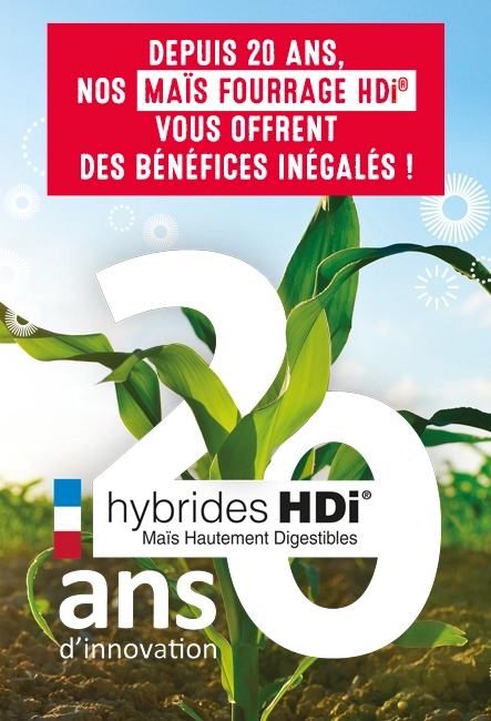 20 ans HDi