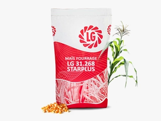 LG 31.268 STARPLUS Visuel