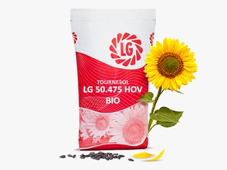 LG 50475 HOV BIO Visuel