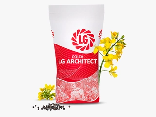LG ARCHITECT Visuel
