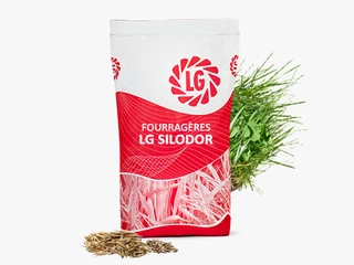 LG SILODOR Visuel