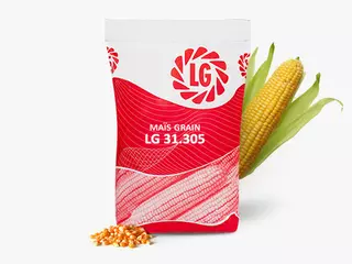 LG sacherie maïs grain LG 31.305 Visuel
