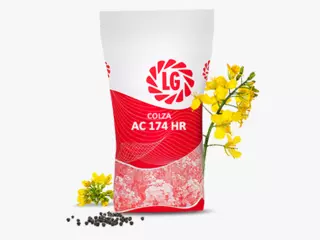 LG ADELINE Visuel