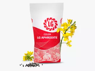 LG APHRODITE Visuel