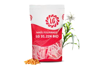 LG 31.224 BIO Visuel