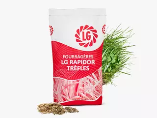 Fourragères LG RAPIDOR TRÈFLES Visuel
