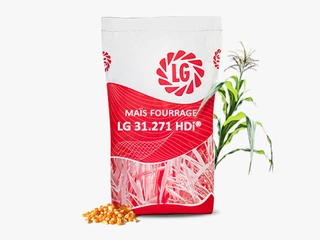 Sacherie maïs fourrage LG 31.271 HDi® RS Visuel
