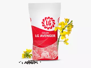 LG AVENGER  Visuel