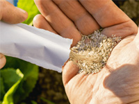Agri-testing maïs fourrage HDi®