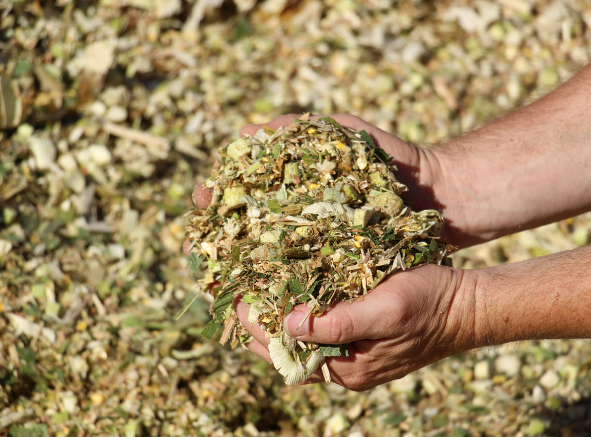 1 Kit Valeur Alimentaire pour analyse du maïs fourrage