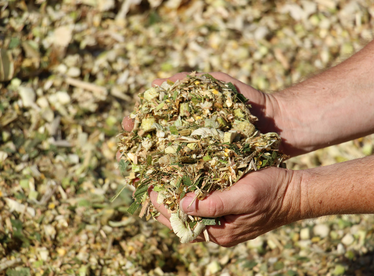 1 Kit Valeur Alimentaire pour analyse du maïs fourrage