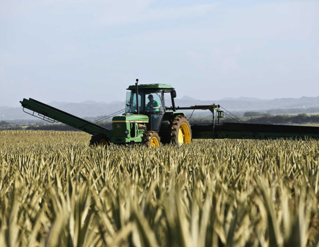 Visuel Prévoyez les stades clés de la conduite de votre prairie